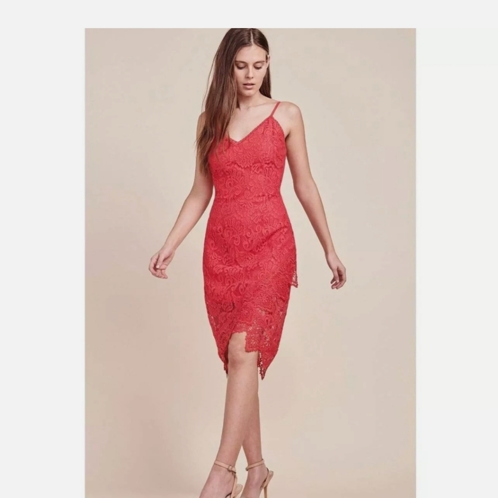NWT Lace dress BB Dakota RSVP Rylee Pink Lace Dress